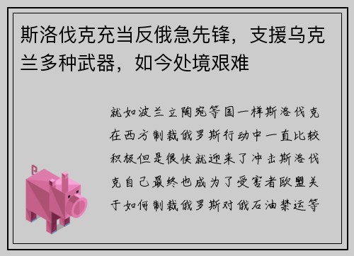 斯洛伐克充当反俄急先锋,支援乌克兰多种武器,如今处境艰难